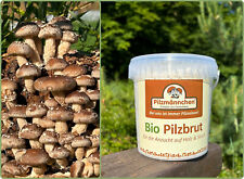 Pilz Substrat Shiitake  Bio- Pilze selber züchten - Substratbrut, Pilzbrut Pilze