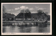 Grossenbrode /Holstein, Ansichtskarte, Dorfteich mit Häusern 1945 