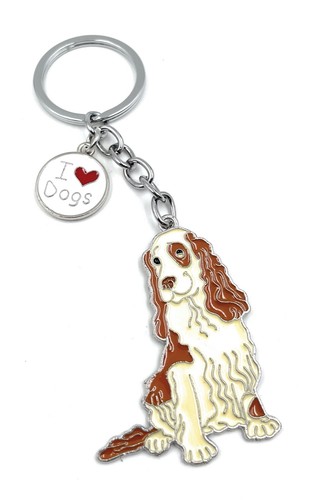 Cocker spaniel hund - cocker,