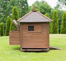 Hühnerstall 3 Hühner