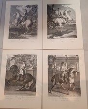 Kupferstich 4 X Reitschule Johann Elias Ridinger (1698-1767)