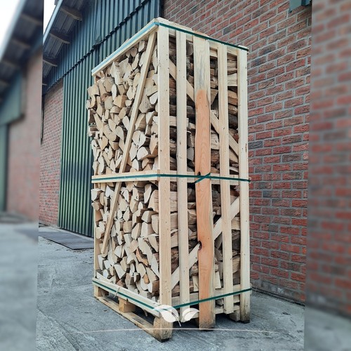 Eschen brennholz 4 große - 4,