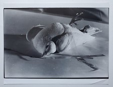 Fotografie Fotokunst Original