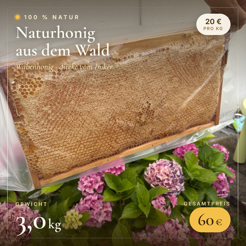Bio wabenhonig honigwabe - bio,