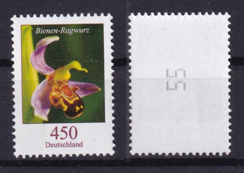 Bund 3191 mit ungerader - bund, rm
