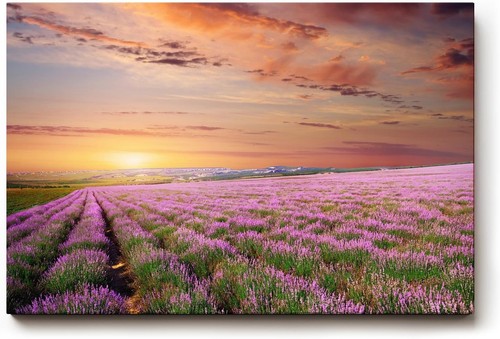Sinus art wandbild unendliches - wandbild,