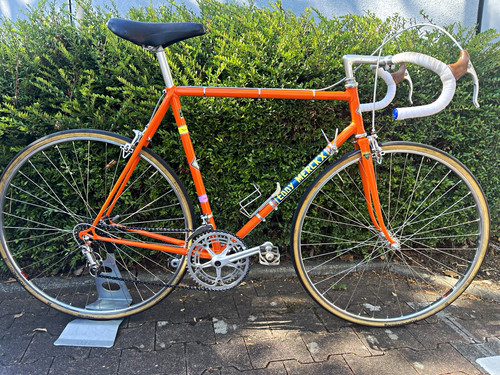 Eddy merckx molteni - eddy, replika*