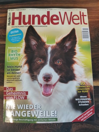 Hundewelt februar 2021 - 02/februar,