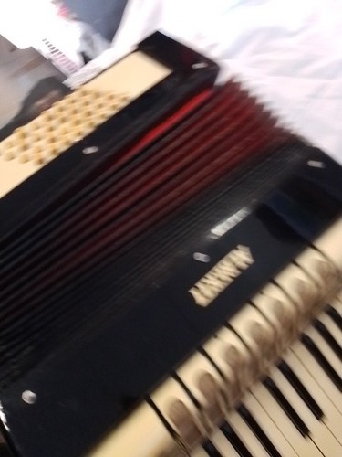 Akkordeon ziehharmonika - akkordeon,