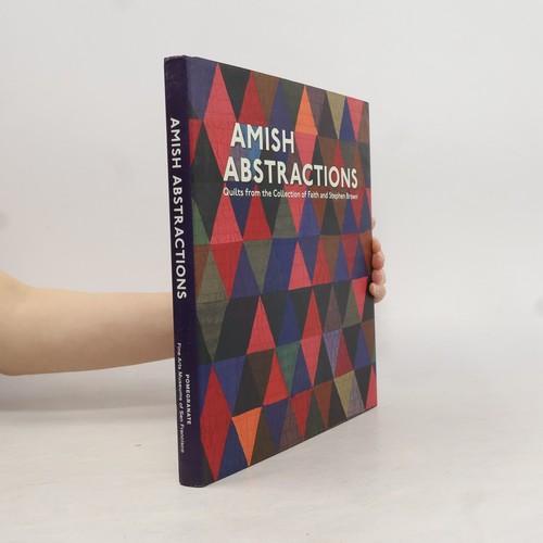 Amish abstractions quilts - amish,
