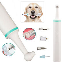 Elektrischer Zahnpolierer