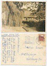 40665 - Trauerweide mit Haus -