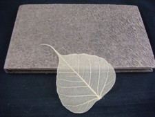 Vintage Herbarium Album