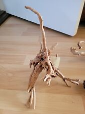 Fingerwurzel mittelgroß Nr. 1