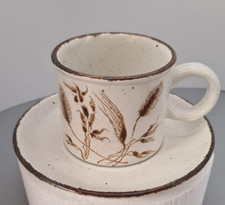 Midwinter Stonehenge Wild Oats ZWEI Kaffeetassen + Untere Vintage England