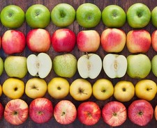 5in1 Apfelbäume - 5