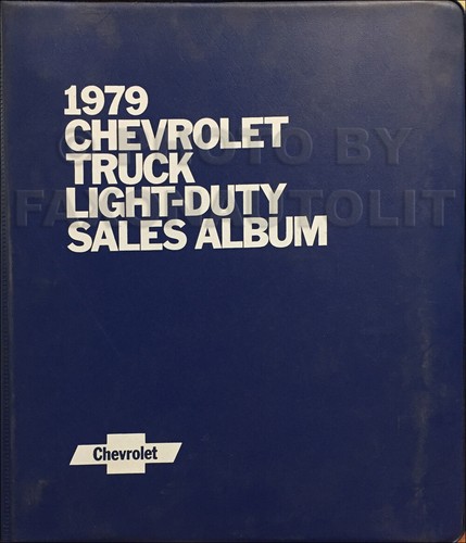 1979 chevrolet truck - 1979,