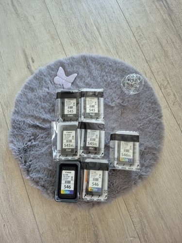 Leere canon druckerpatronen - leere,