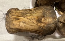 DAIMLER DINGO - Gehäuse