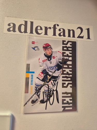 Del 2025 2026 signiert - del, 25-26
