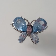 Wunderschöne Schmetterlings