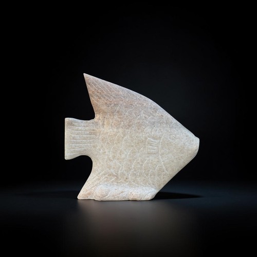Koi fisch karpfen - koi,