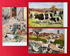 3 x Künstler AK Meinholds