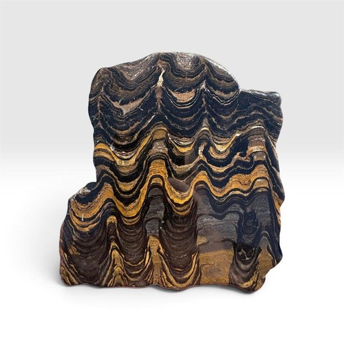 Stromatolith fossil bolivien - fossil,