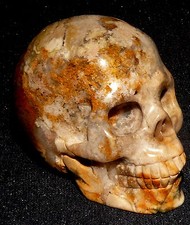 Edelstein-Schädel, Skull