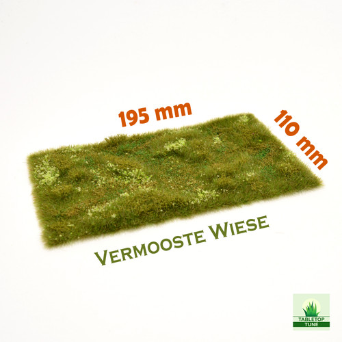 605 vermooste wiese - /,
