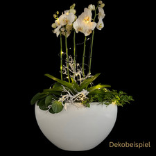 Pflanzschiff Oval Groß aus