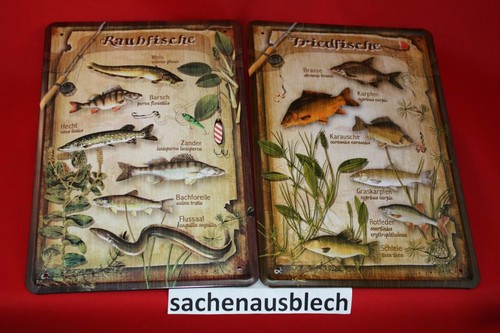 Friedfische raubfische set - friedfische+raubfische,