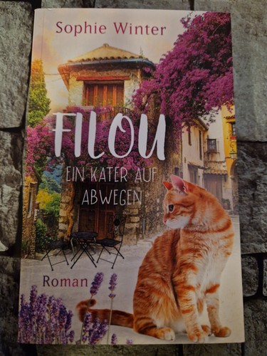 Filou ein kater - filou,