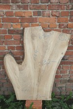 Baumscheibe Holzscheibe