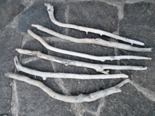 6 x Skulptur Schwemmholz Treibholz Figur Tier Schlange Deko basteln 78 - 89 cm