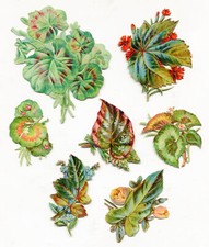 Oblaten scrap die cut chromo  Blätter Konvolut 8,5 cm