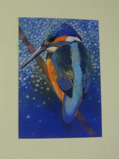 1x Postkarten Eisvogel Loes