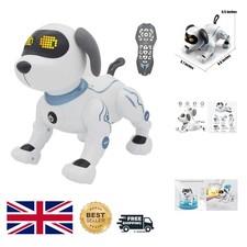 Interaktiver ferngesteuerter