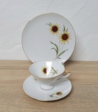 Winterling Roslau Bavaria Gedeck Tee Kaffe Set 3 Tlg Porzellan Sammeltasse