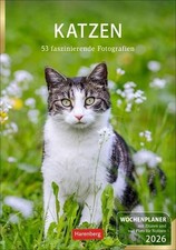 Katzen Wochenplaner 2026 - 53