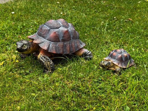 Gartenfigur schildkröte 2er - gartenfigur,