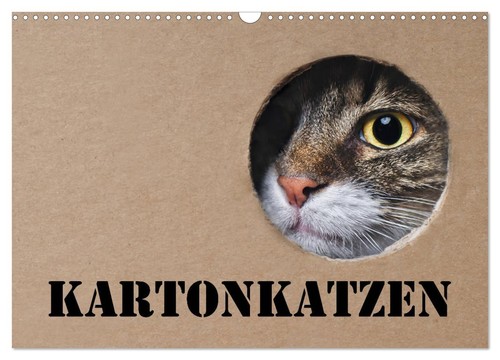 Karton katzen wandkalender - karton, (wandkalender