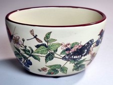 M&S Frühlingszwiebel