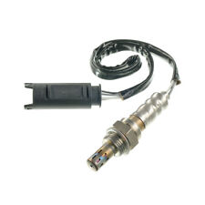 Lambdasonde Diagnosesonde für