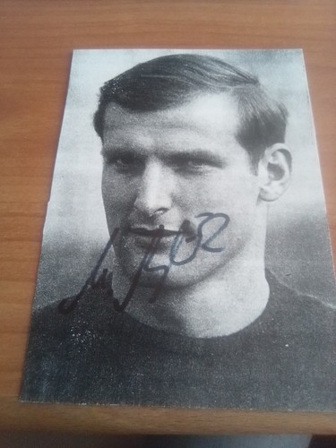 Dfb msv duisburg manfred - duisburg,
