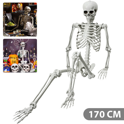 Skelett halloween lebensgroß - skelett,