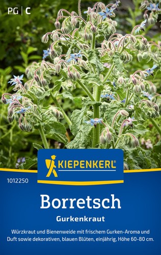 Borretsch gurkenkraut - borretsch,