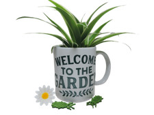 Pflanz Tasse Blumentopf Übertopf "Welcome" grün Dekotasse Geschenk Handmade