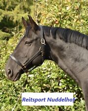 % Stübben Stallhalfter NT mit