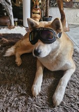 Motorcycle goggles retro - motorcycle,
